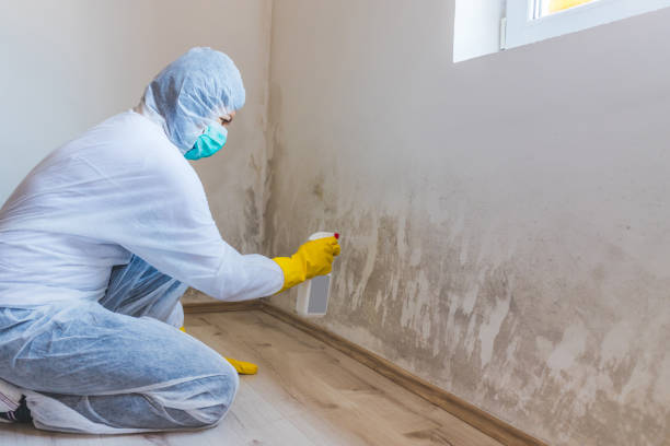Hvac And Air Duct Mold Remediation inspection of HVAC system in Austin